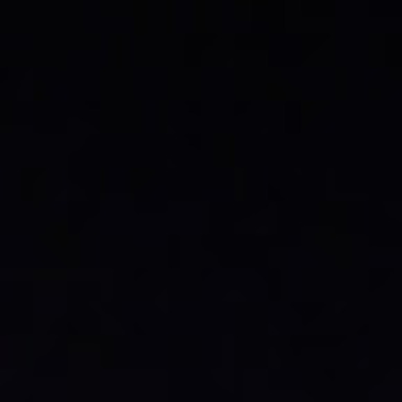 phelpslexi101